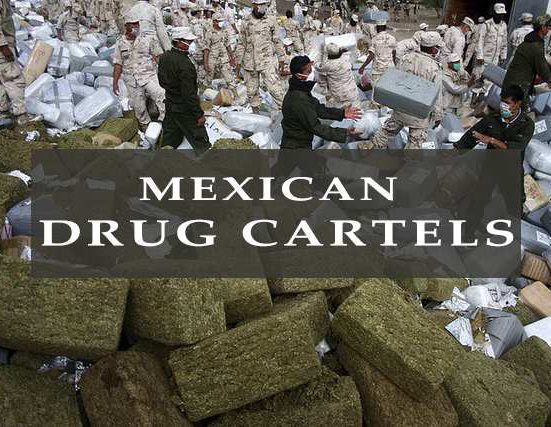 Mexican drug cartels